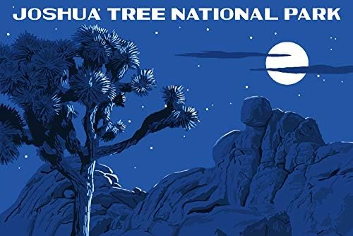 Lámpás Nyomja meg a Joshua Tree Nemzeti Park, Kalifornia, Éjszakai Jelenet, WPA ( Pamut Vászon Újrafelhasználható